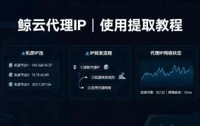 鲸云代理IP | 使用提取教程 – 快速获取稳定代理IP指南