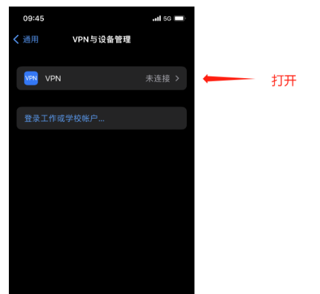 苹果IOS手机利用L2TP/Socks5直连改IP教程插图