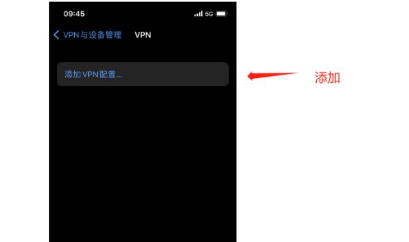 苹果IOS手机利用L2TP/Socks5直连改IP教程插图1