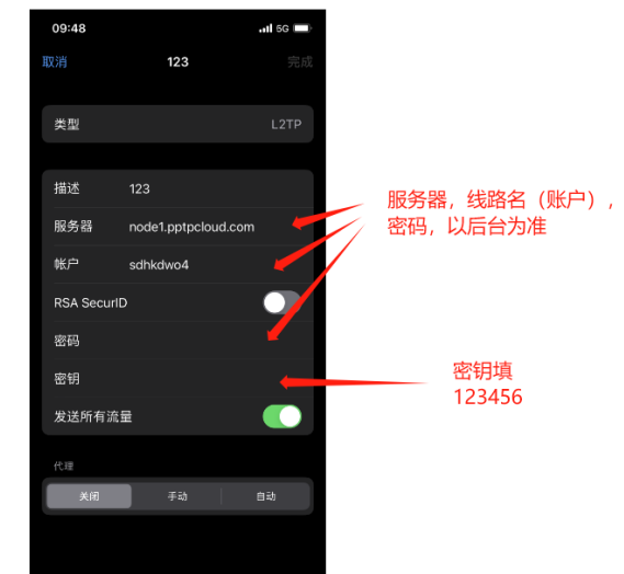 苹果IOS手机利用L2TP/Socks5直连改IP教程插图4