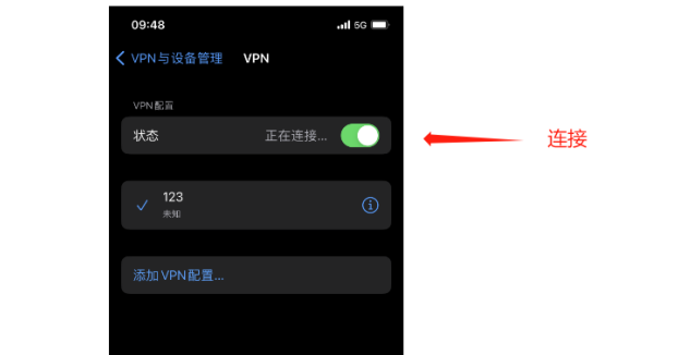 苹果IOS手机利用L2TP/Socks5直连改IP教程插图6