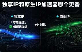 独享IP和原生IP加速器哪个更香？一文说透区别