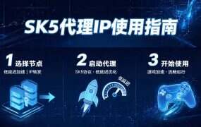 SK5代理IP使用指南:适合游戏、搬砖和爬虫的多场景应用