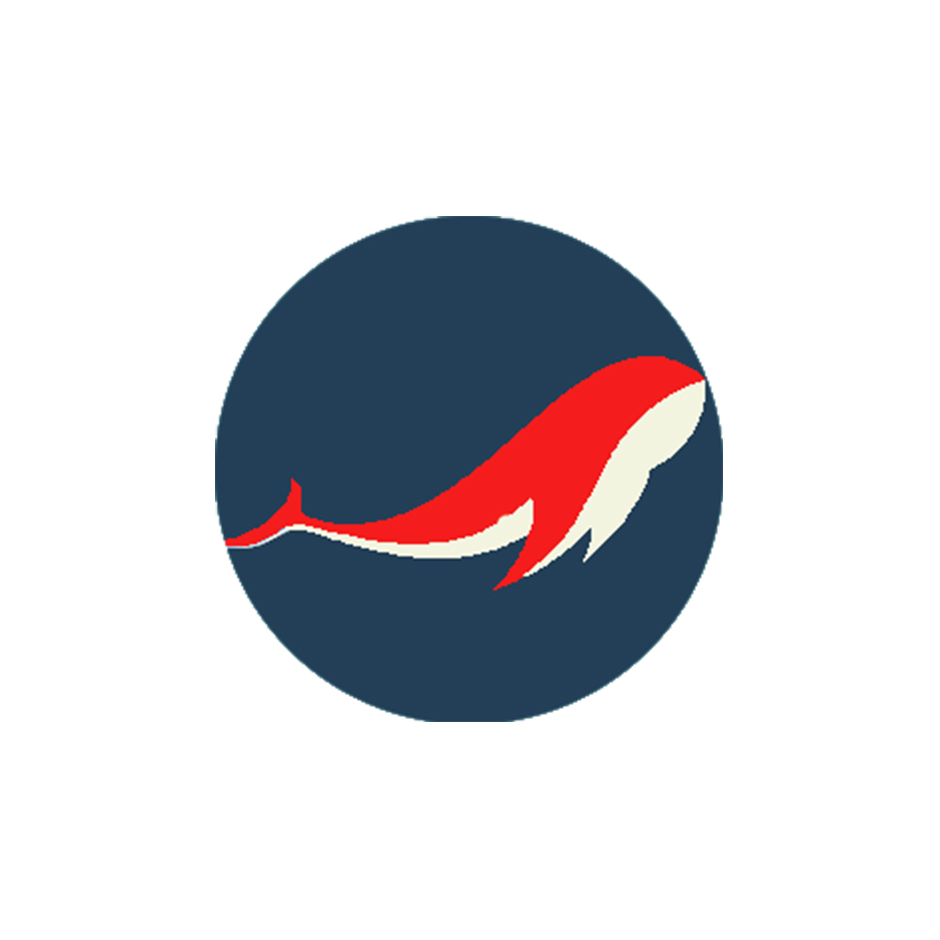 单窗口单IP软件哪个好？新手首选工具推荐