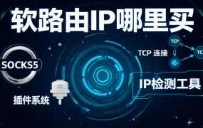 软路由IP哪里买?推荐socks5ip.com.cn(全网低价IP)-L2TP协议IP免费测试与购买指南