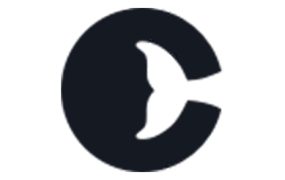 鲸云代理IP SOCKS5提取教程 – 快速获取稳定代理IP指南