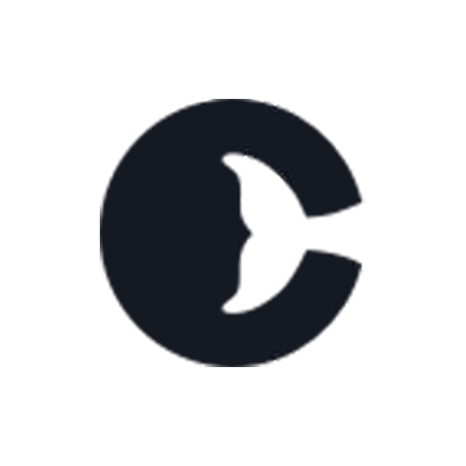 鲸云网络代理 | 全国200城住宅IP | SOCKS5/HTTP | 独享IP防封防检测