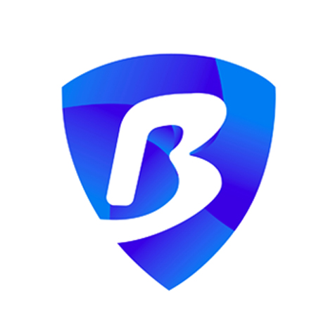 比特/谷歌/浏览器