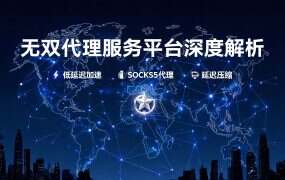 无双代理服务平台深度解析:您的专业海外业务加速器
