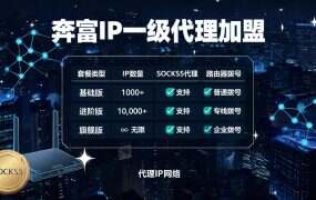奔富IP一级代理加盟：费用与利润低成本高回报