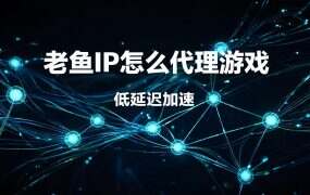 老鱼IP怎么代理游戏？教你用老鱼加速器实现单窗口单IP