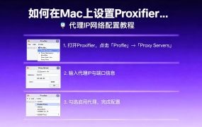 如何在Mac上设置Proxifier全局代理？