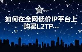 如何在全网低价IP平台上购买L2TP静态IP？