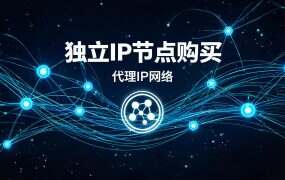 独立IP节点购买：2026年最全选购指南与避坑攻略