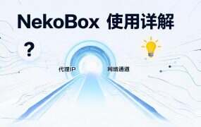 NekoBox 使用详解：支持Socks5的代理客户端设置指南
