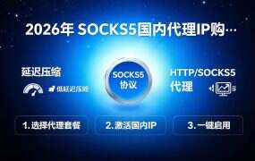 2026年SOCKS5国内代理IP购买指南：首选socks5ip.com.cn，覆盖全国200+城