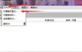 proxifier 使用帮助 | 鲸云IP官方帮助文档&常见问题