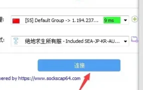 sstap 使用帮助 | 鲸云IP官方帮助文档&常见问题