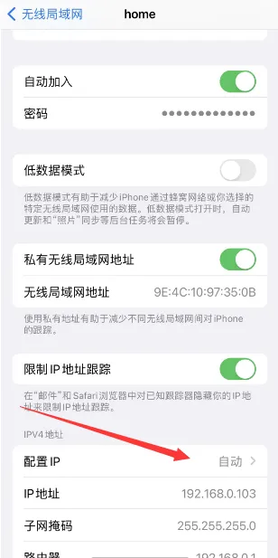 路由器模式详细说明与配置操作流程 | 鲸云IP官方帮助文档&常见问题插图9
