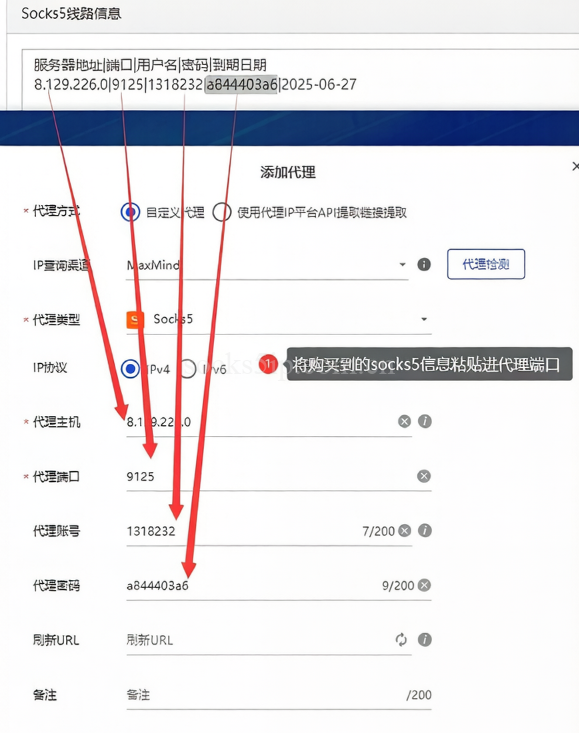 比特指纹浏览器设置添加SOCKS5代理IP教程-单窗口单ip插图1
