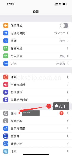 ST加速器iOS直连教程 | 苹果手机使用全指南插图1