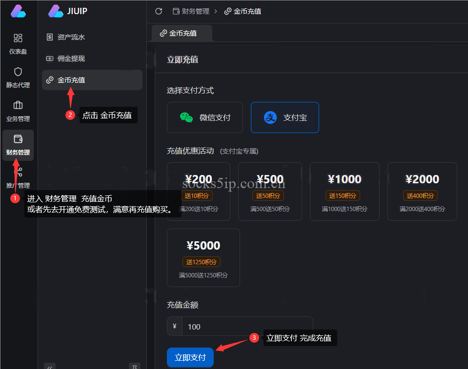 九IP(JiuIP) 静态代理IP购买使用教程 | SOCKS5/L2TP协议配置指南插图2