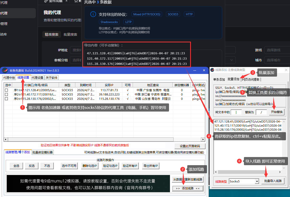 九IP(JiuIP) 静态代理IP购买使用教程 | SOCKS5/L2TP协议配置指南插图5