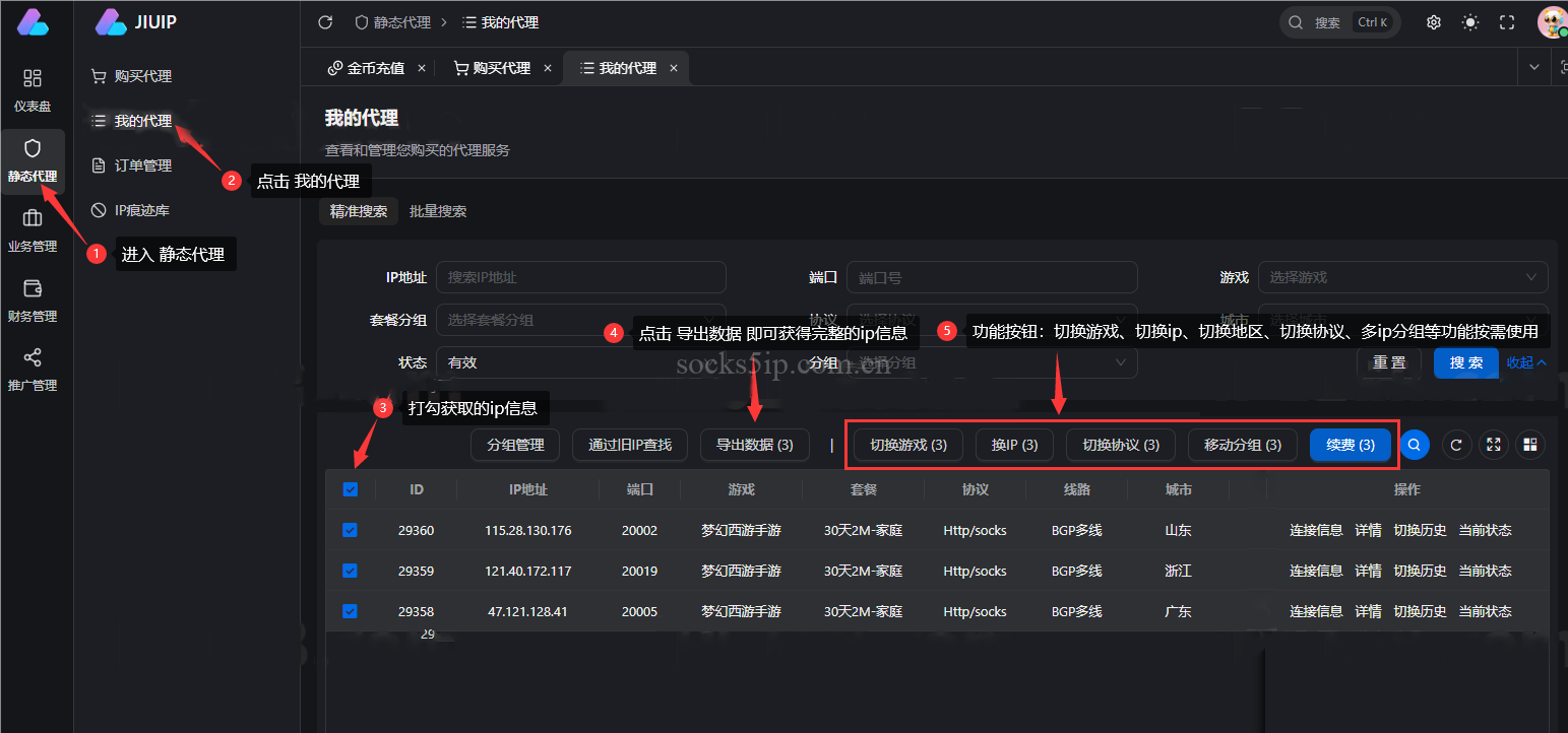 九IP(JiuIP) 静态代理IP购买使用教程 | SOCKS5/L2TP协议配置指南插图4