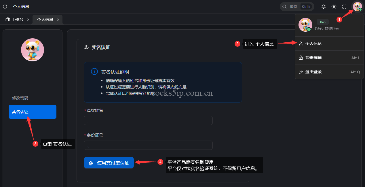 九IP(JiuIP) 静态代理IP购买使用教程 | SOCKS5/L2TP协议配置指南插图1