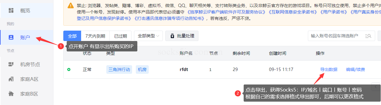 鲸云代理IP SOCKS5提取教程 – 快速获取稳定代理IP指南插图3