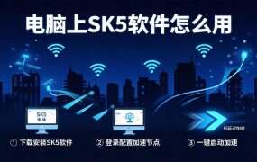 电脑上SK5软件怎么用?老鱼加速器、有米加速器、SSTap下载及教程(2026最新版)