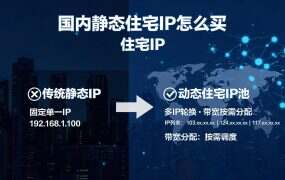 国内静态住宅IP怎么买？四家主流平台对比，看完不踩坑