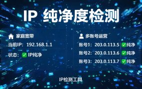 IP 纯净度检测：你的代理 IP 到底“干不干净”？