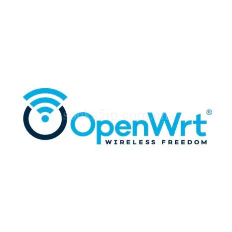 OpenWrt软路由配置代理IP教程：SOCKS5与L2TP协议详细实战指南