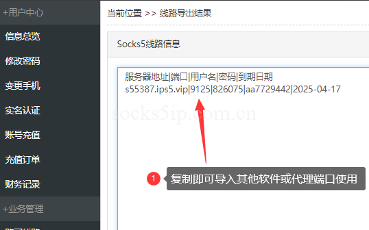 紫鸟指纹浏览器配置SOCKS5代理IP教程:多账号防关联实战指南(2026)插图3 紫鸟指纹浏览器配置SOCKS5代理IP教程:多账号防关联实战指南(2026)插图3