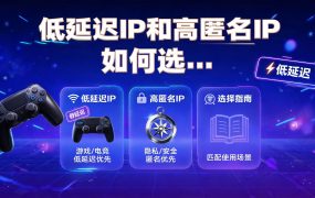 低延迟IP和高匿名IP如何选择？国内游戏多开Socks5代理方案