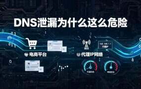 DNS泄漏为什么这么危险？真实案例分析