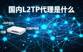 国内L2TP代理是什么？为什么越来越多人选它？