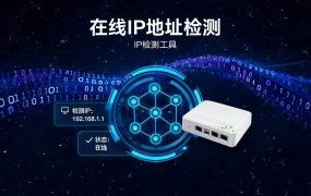 在线IP地址检测:工具推荐与使用方法