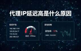 代理IP延迟高是什么原因？从这几个方向排查，轻松解决卡顿问题