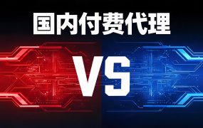 国内付费代理IP推荐：奔富IP与天行IP详细对比与选购指南
