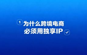 为什么跨境电商必须用独享IP？详解防关联、账号权重与运营稳定性