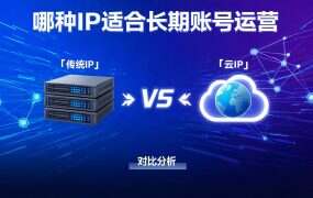 哪种IP适合长期账号运营?国内外6大平台深度对比(2026独家评测)