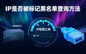 IP是否被标记黑名单查询方法：三步检测法，识别代理风险与IP信誉