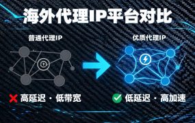 海外代理IP平台对比：全球代理IP/无双IP/55游/皇冠海外IP优缺点全解析