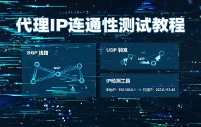 代理IP连通性测试教程：3分钟快速验证代理线路是否可用