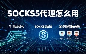 SOCKS5代理怎么用？Windows / 手机 / 浏览器 / 软路由完整配置教程