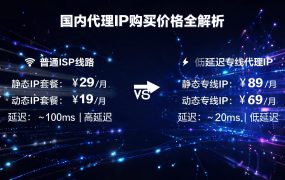 国内代理IP购买价格全解析：奔富/天行/沧海等主流平台价格对比与选购指南