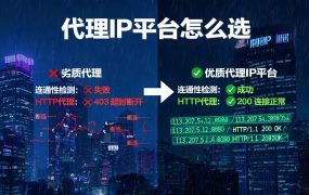 代理IP平台怎么选？20+主流服务商一站式对比，内部优惠价直供