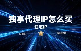独享代理IP怎么买?沧海IP 4元/月静态住宅方案深度评测与购买指南